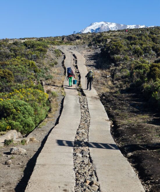 Mountain Climb