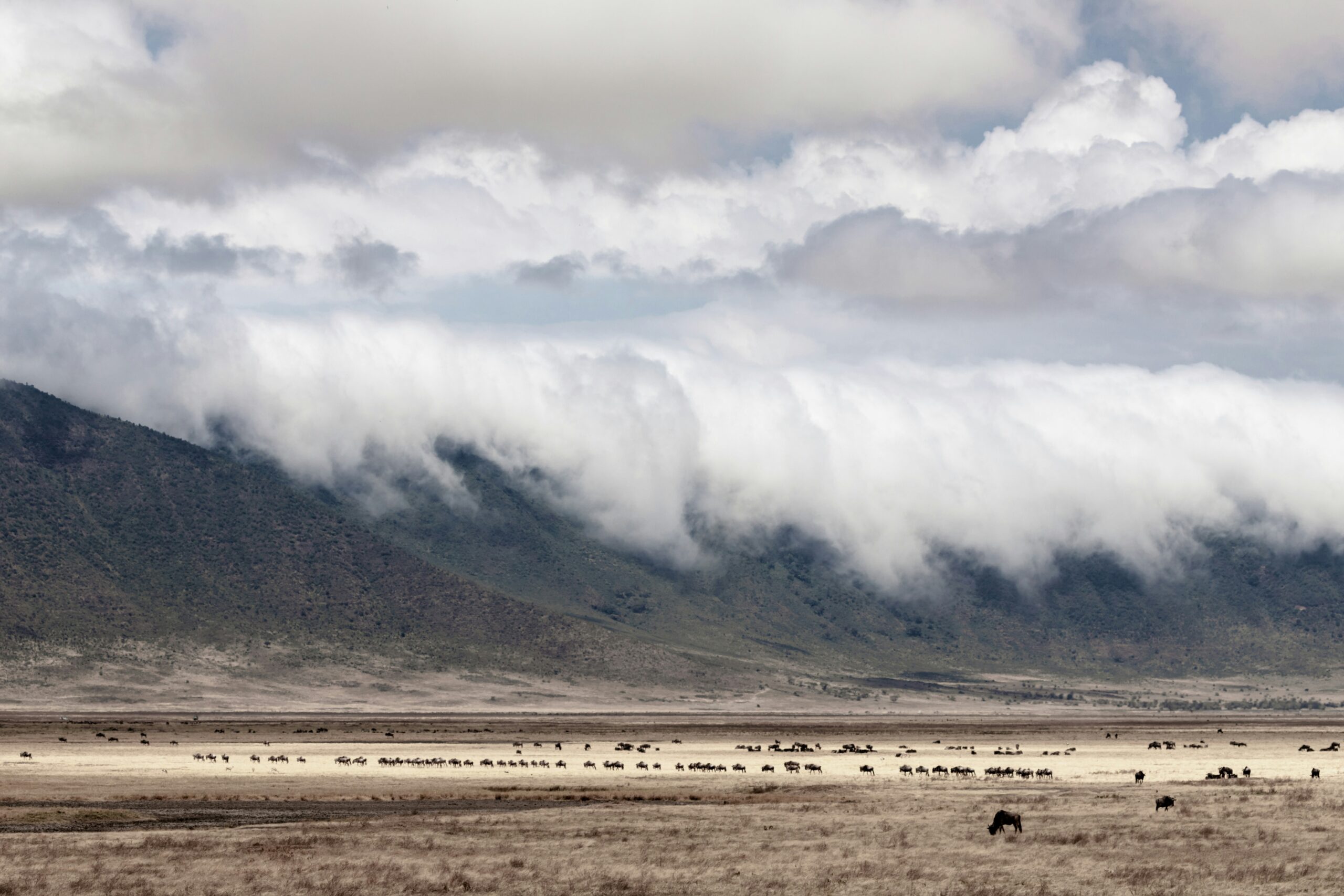  Ngorongoro crater