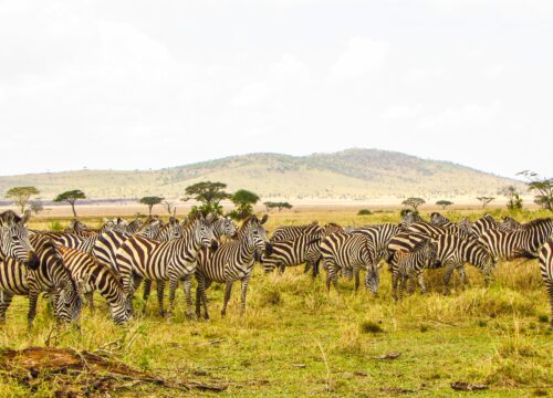Serengeti National Park
