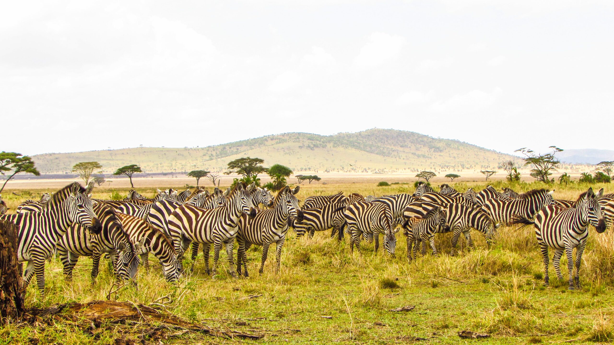 Serengeti National Park