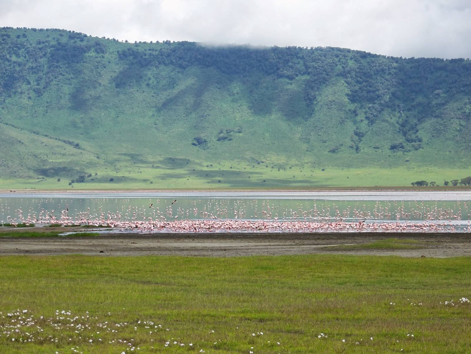 Ngorongoro_Crater_01_NCA