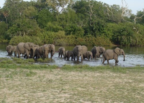 Nyerere National Park