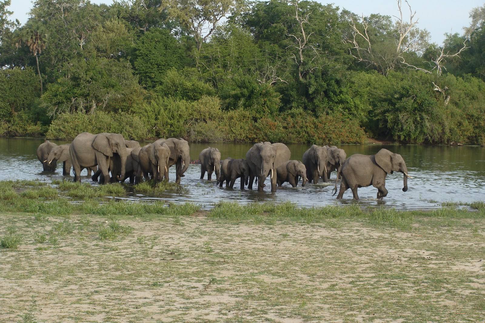 Nyerere National Park