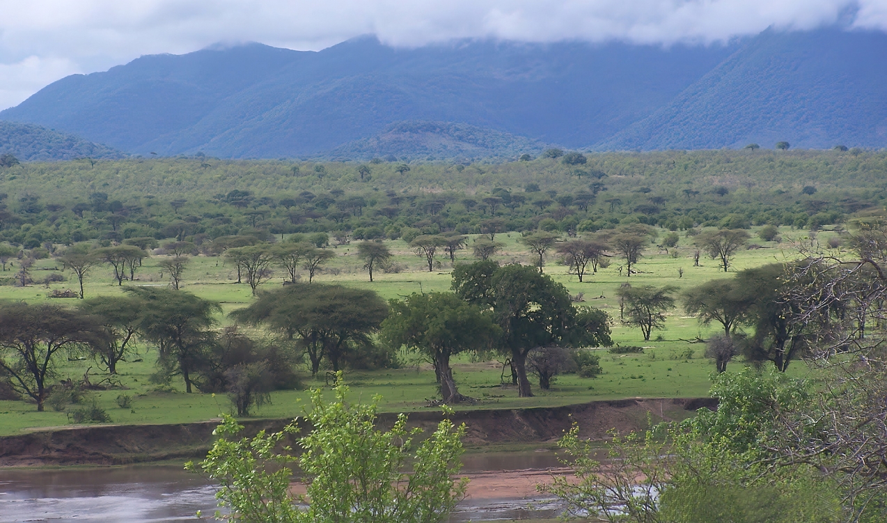 Ruaha National park